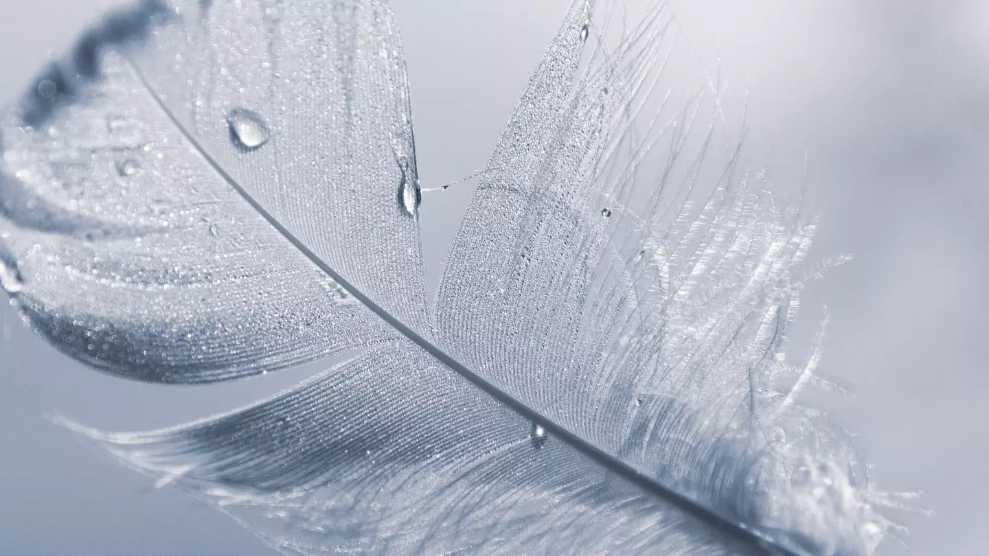 createWeb Template Demo